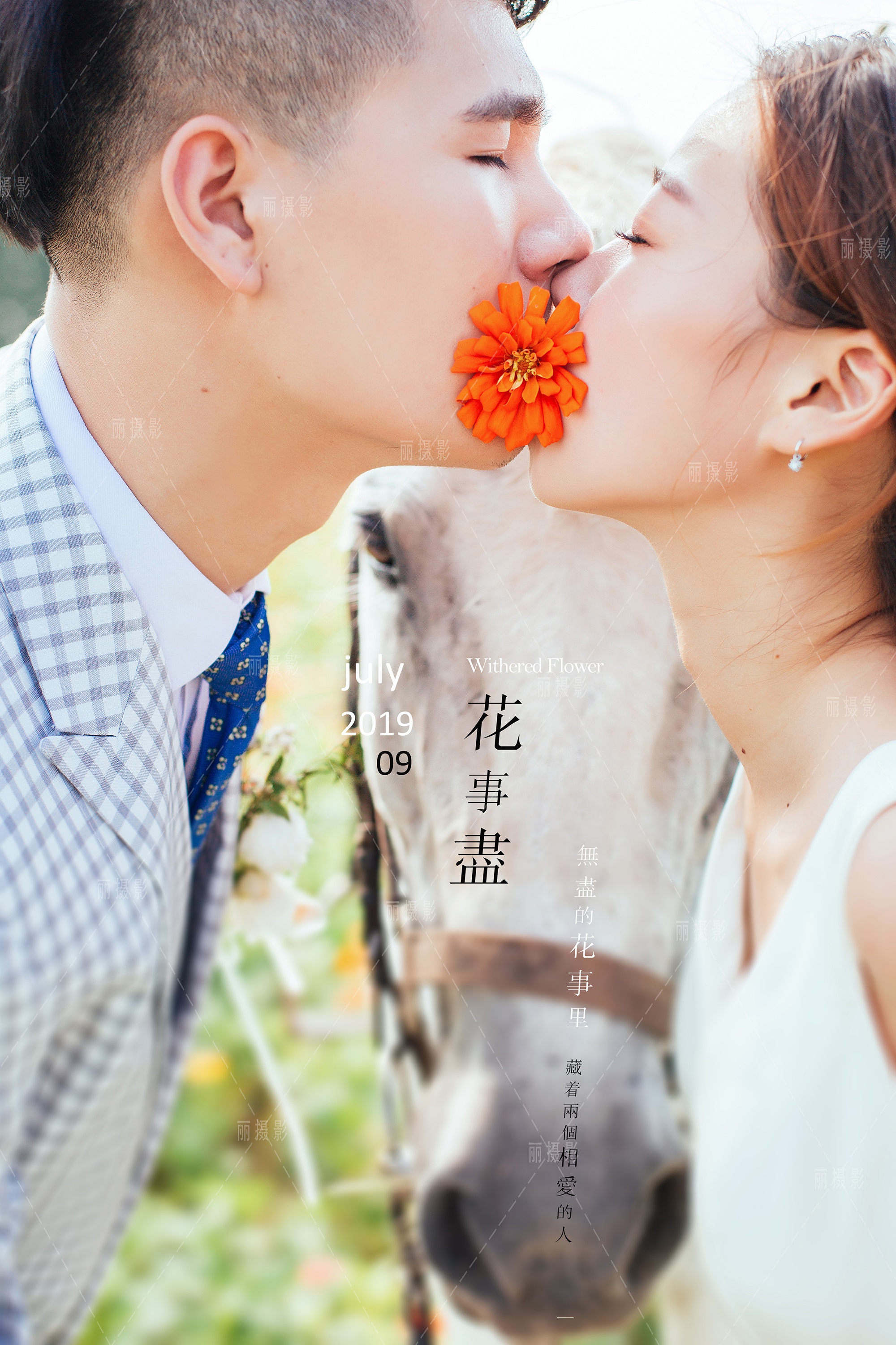 Mr束&Ms龙2