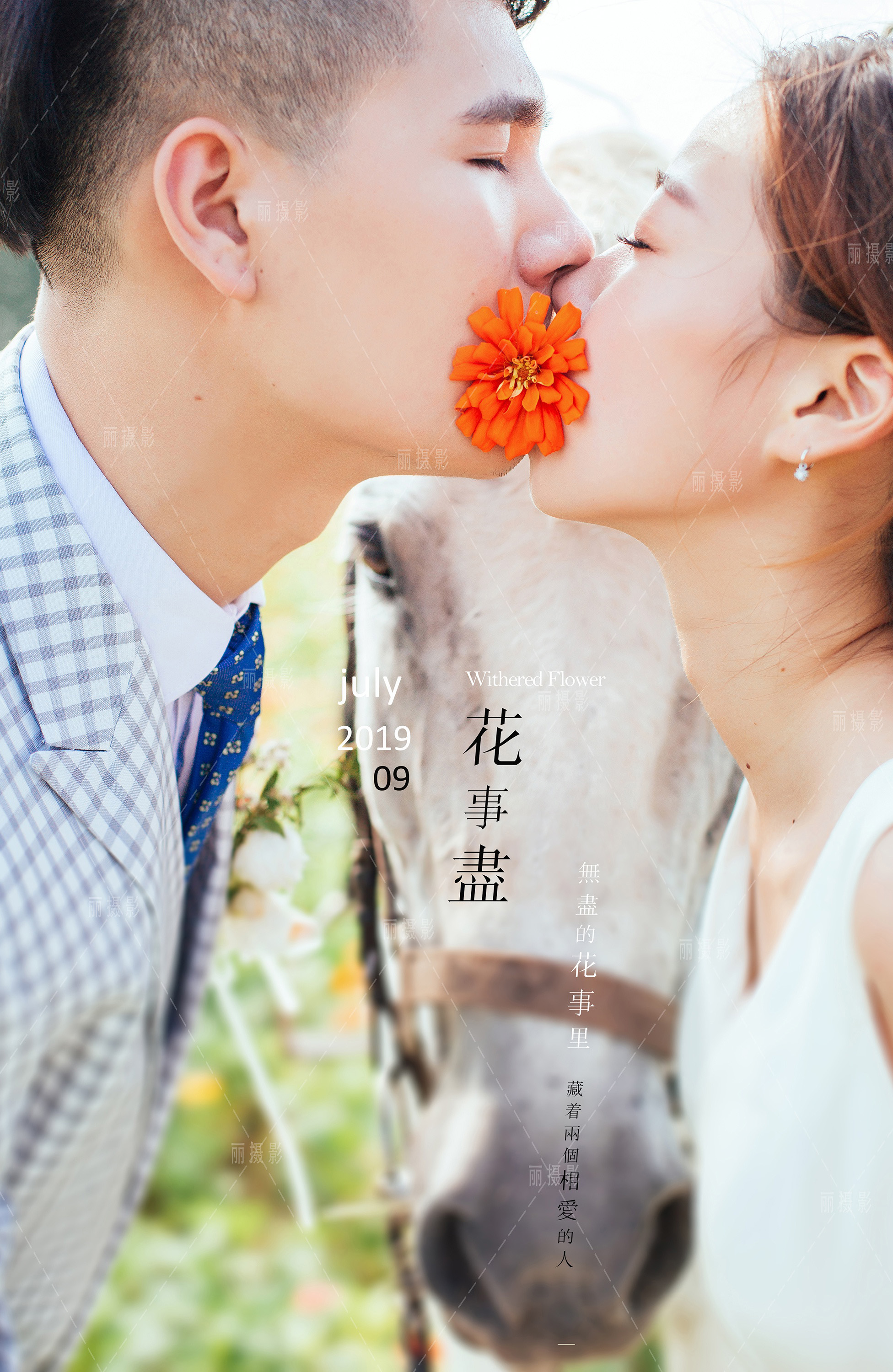 Mr束&Ms龙2